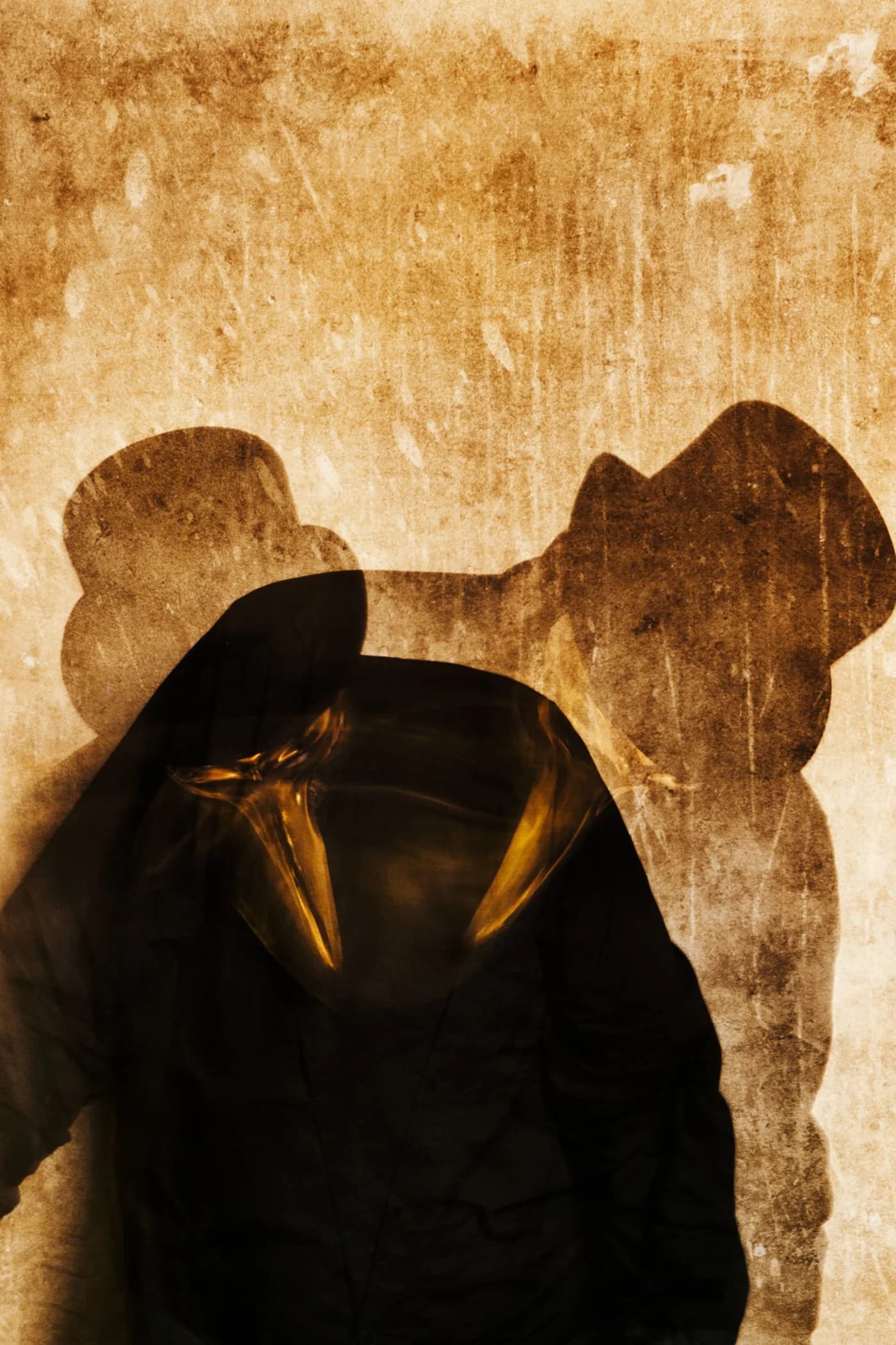 A shadow in a top hat and golden beak cast on a sepia wall