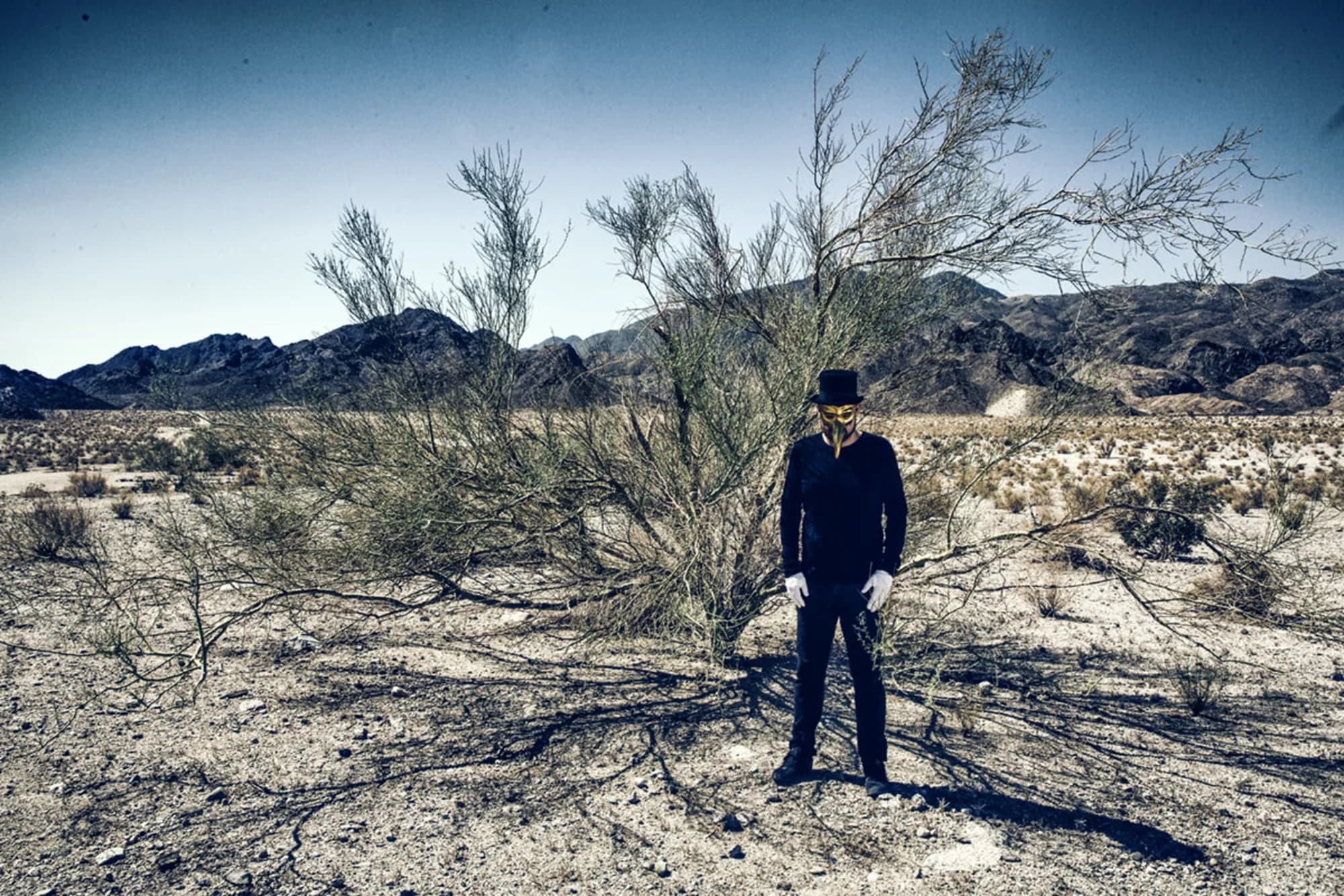 Claptone standing in the desert beside a thorn tree